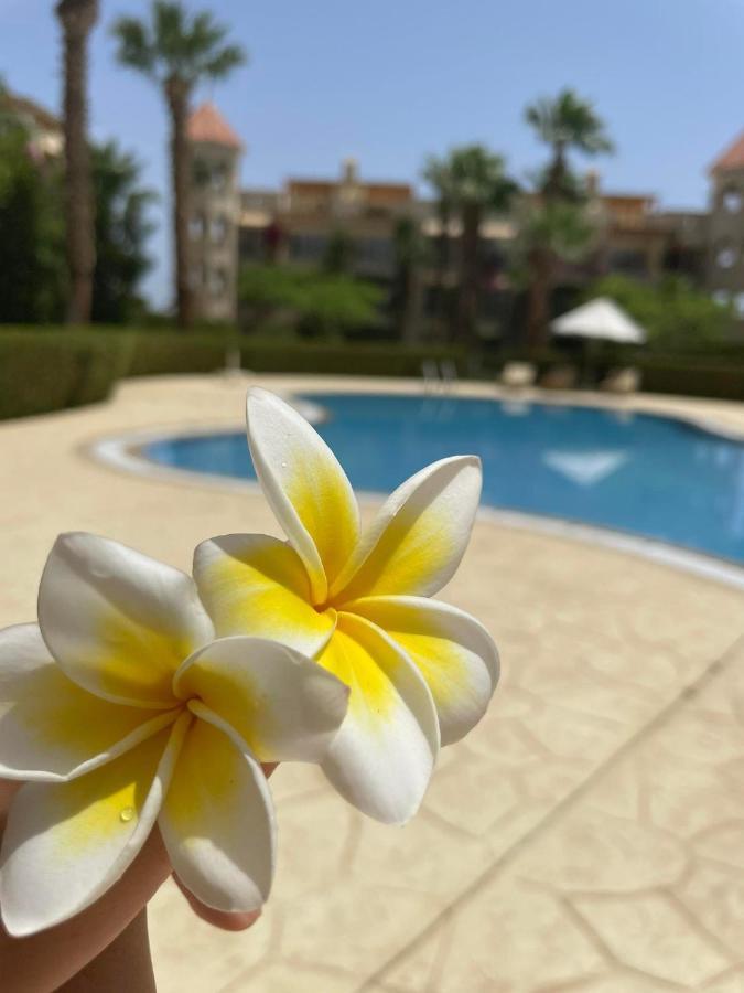 Apartman Veranda Gurdaka Kültér fotó